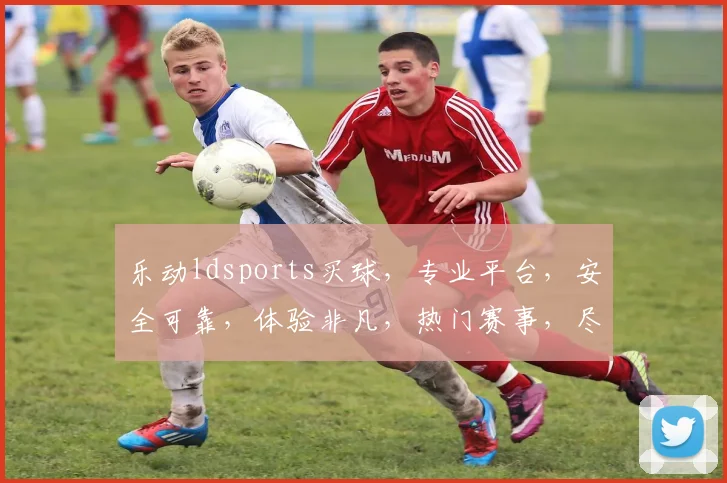 乐动ldsports买球，专业平台，安全可靠，体验非凡，热门赛事，尽享精彩，赢取丰厚回报