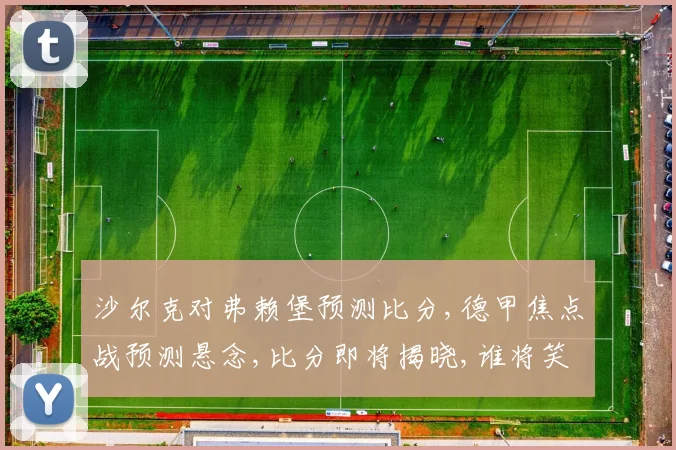 沙尔克对弗赖堡预测比分,德甲焦点战预测悬念,比分即将揭晓,谁将笑到最后