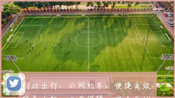 创新出行，公网约车，便捷高效，绿色出行，三重保障，安全无忧