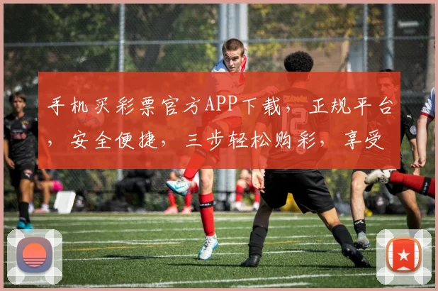 手机买彩票官方APP下载，正规平台，安全便捷，三步轻松购彩，享受乐趣，快来体验