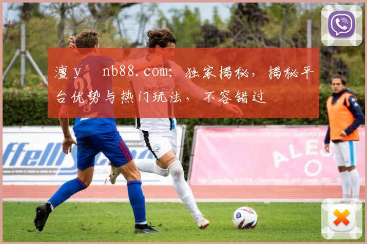 澶у彂nb88.com：独家揭秘，揭秘平台优势与热门玩法，不容错过
